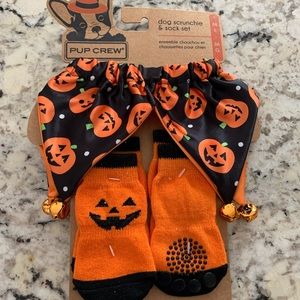 Pup Crew Scrunchie and sock set